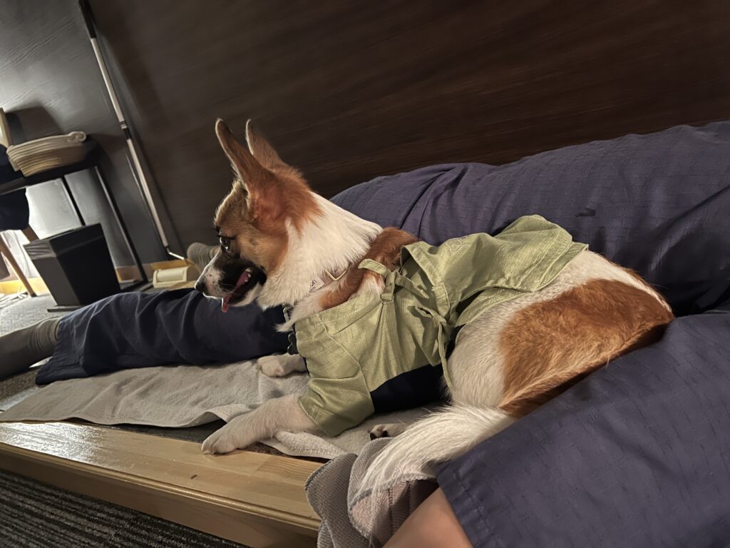 愛犬お宿にあるペットと一緒に楽しめる岩盤浴