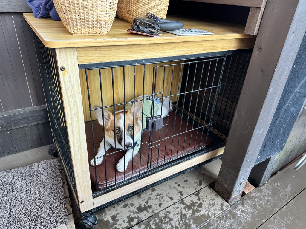 愛犬お宿の貸切露天風呂にあるケージ