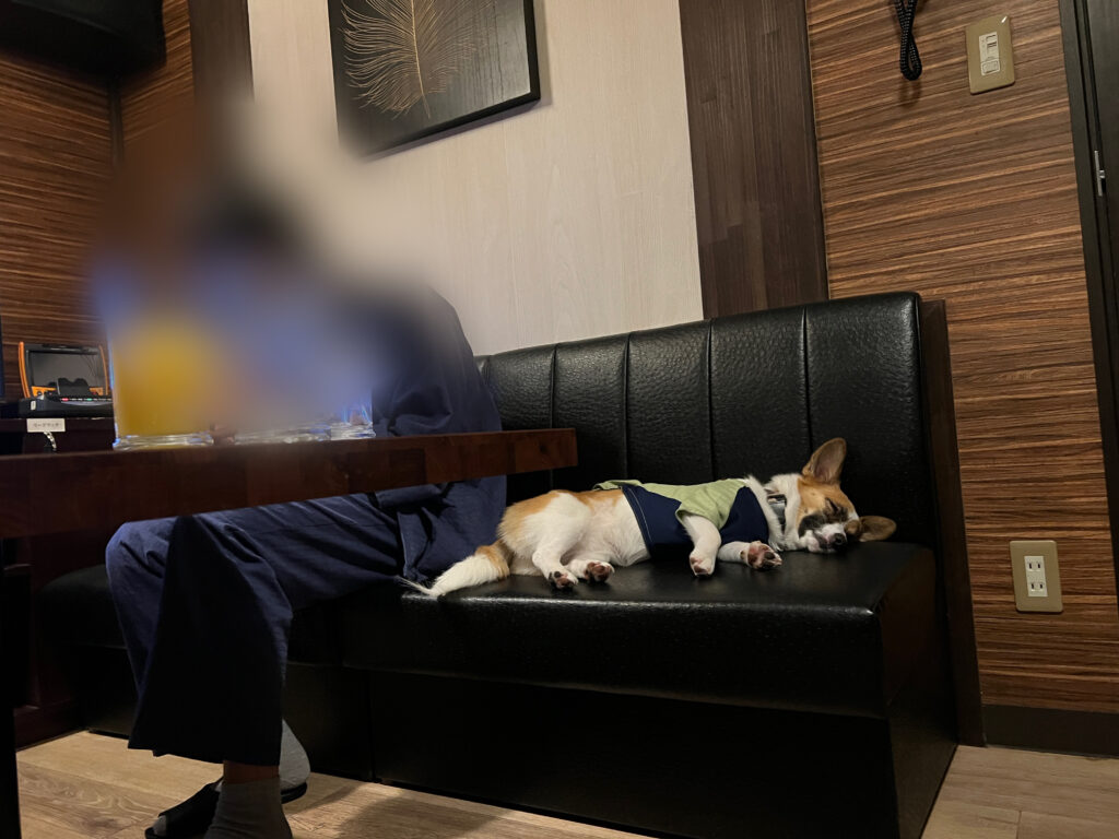 愛犬お宿にあるカラオケルームはもちろん犬が同伴可能